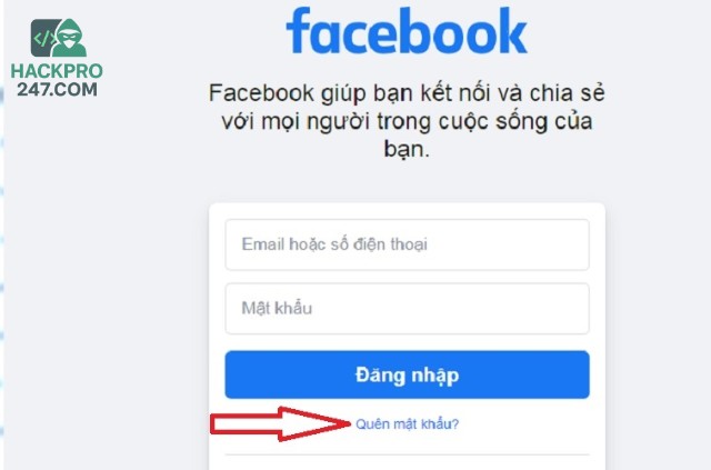 Mật khẩu dễ đoán là "mồi ngon" cho hacker.